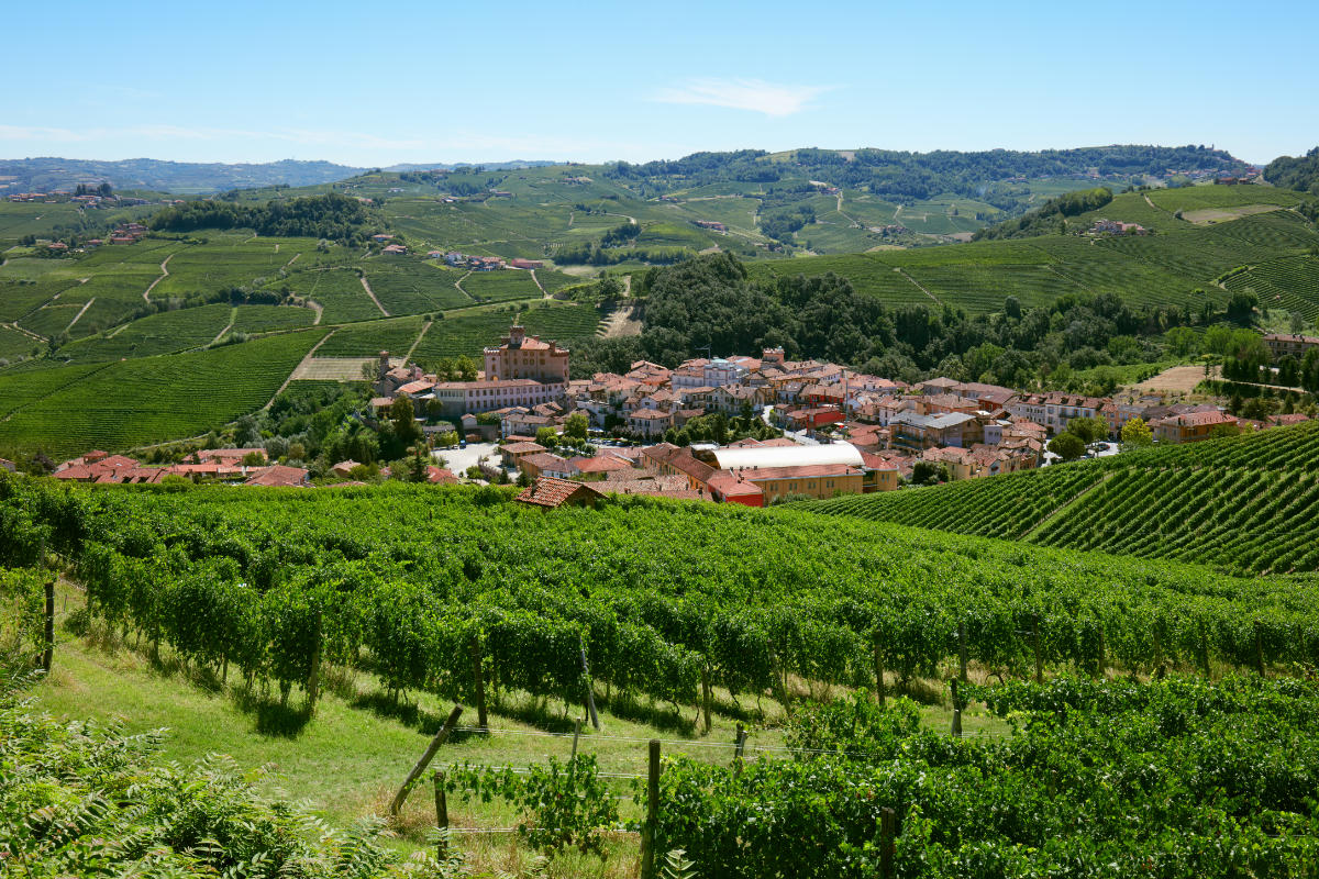 Barolo medieval town in Piedmont with vineyards, sunny day in It